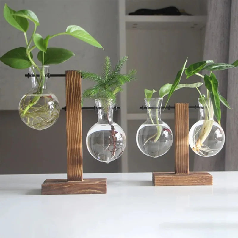AquaWood™ Glass Bulb Propagation Station