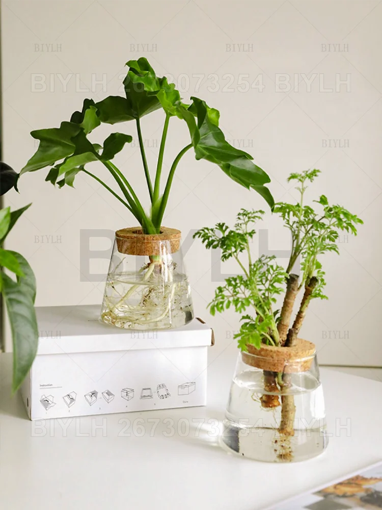 ClearRoot™ Hydroponic Glass Planter with Tray