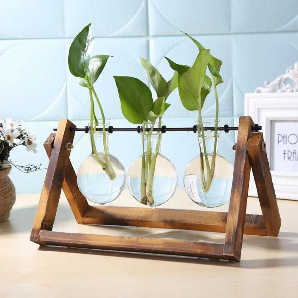 erraFrame™ Hydroponic Glass Terrarium & Wooden Stand