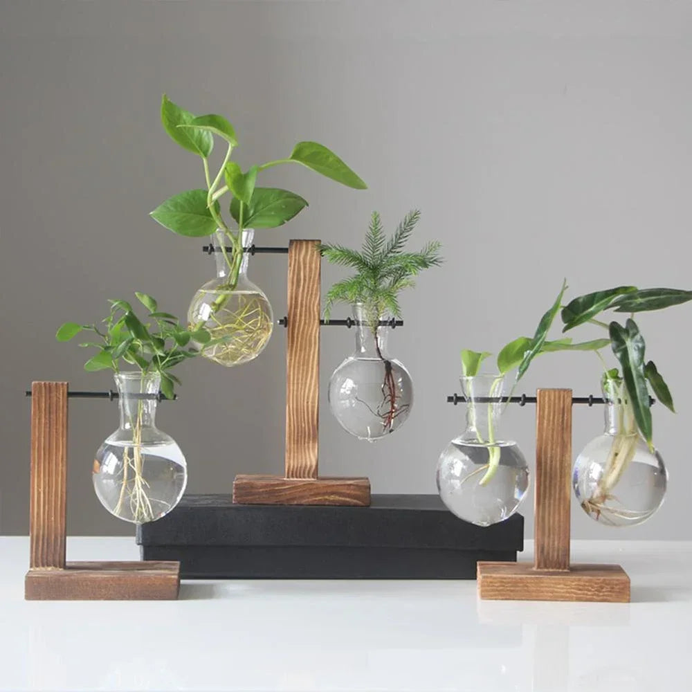 AquaWood™ Glass Bulb Propagation Station
