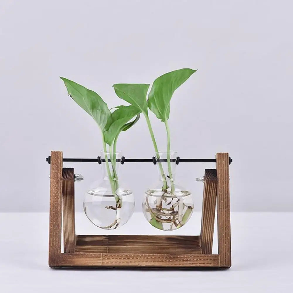 erraFrame™ Hydroponic Glass Terrarium & Wooden Stand