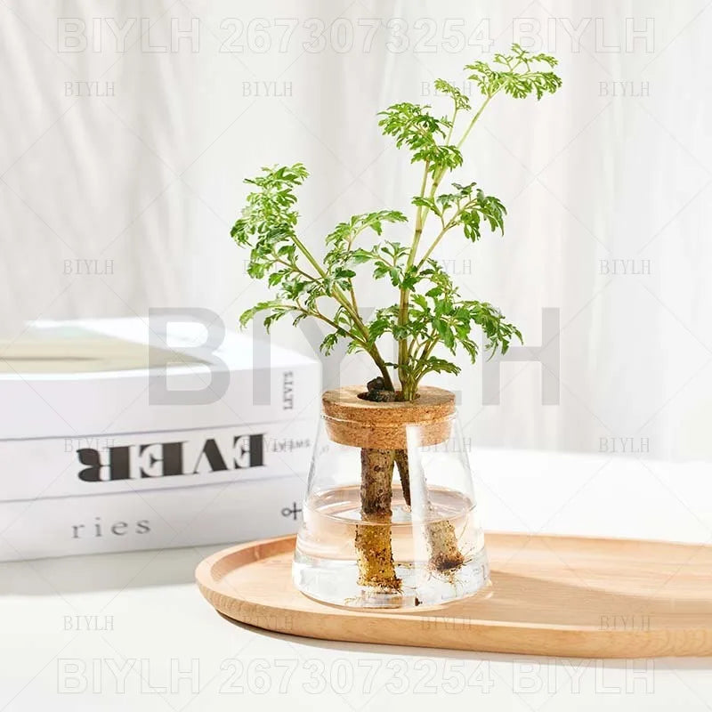 ClearRoot™ Hydroponic Glass Planter with Tray