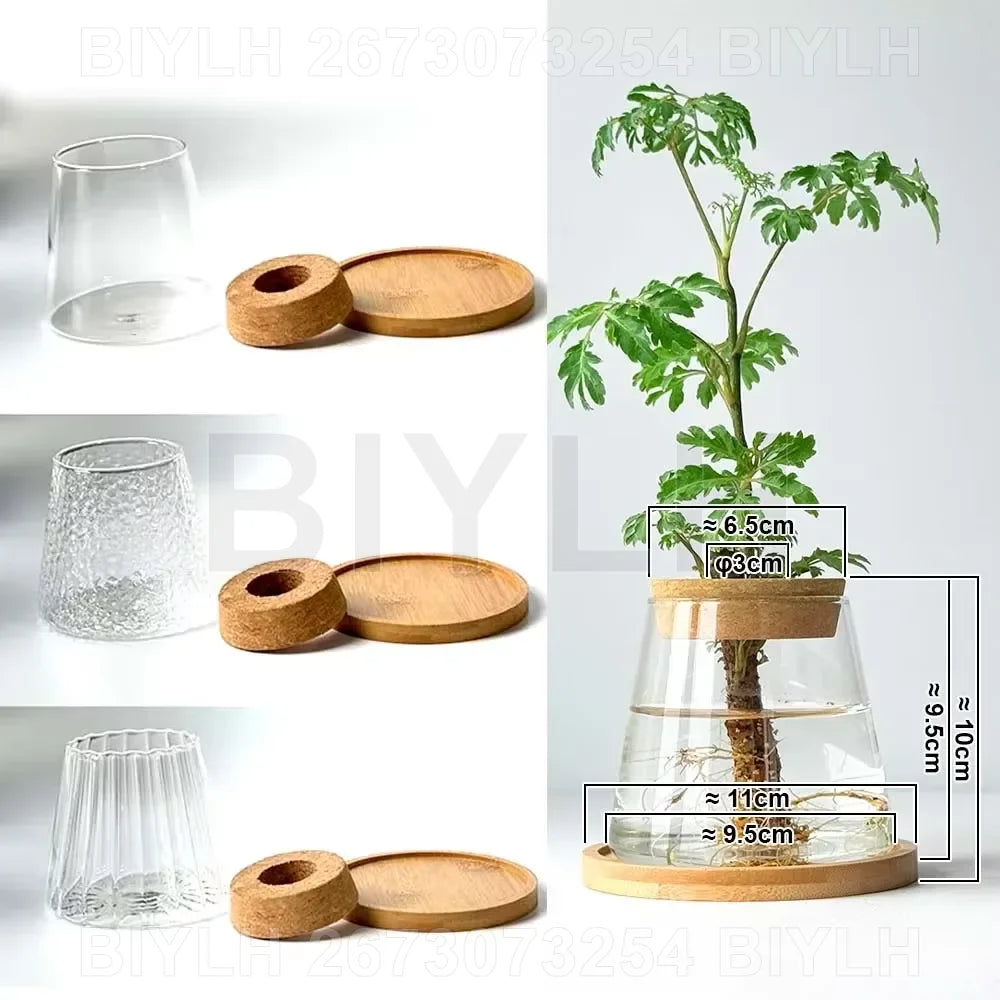 ClearRoot™ Hydroponic Glass Planter with Tray