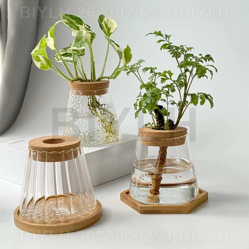 ClearRoot™ Hydroponic Glass Planter with Tray