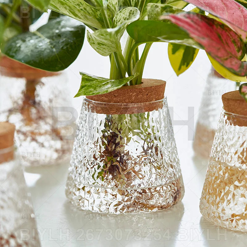 ClearRoot™ Hydroponic Glass Planter with Tray