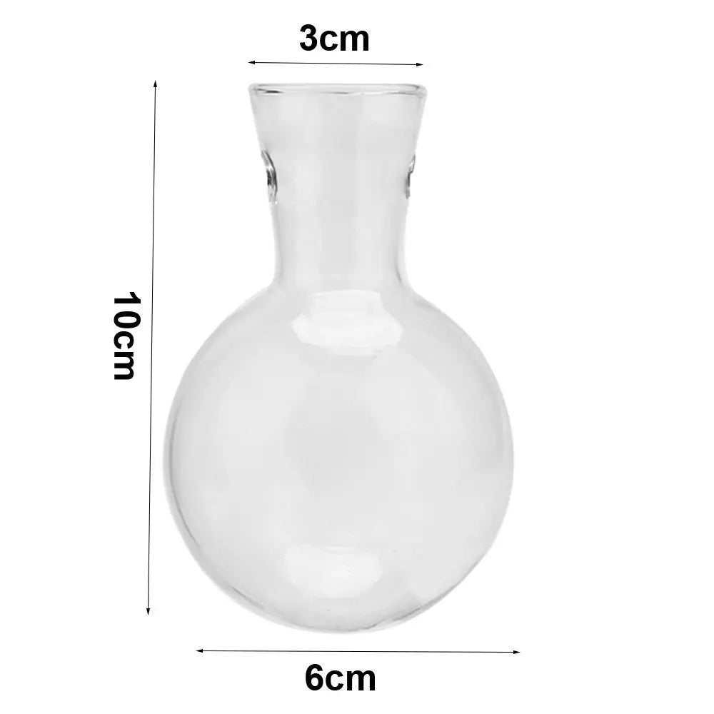 erraFrame™ Hydroponic Glass Terrarium & Wooden Stand