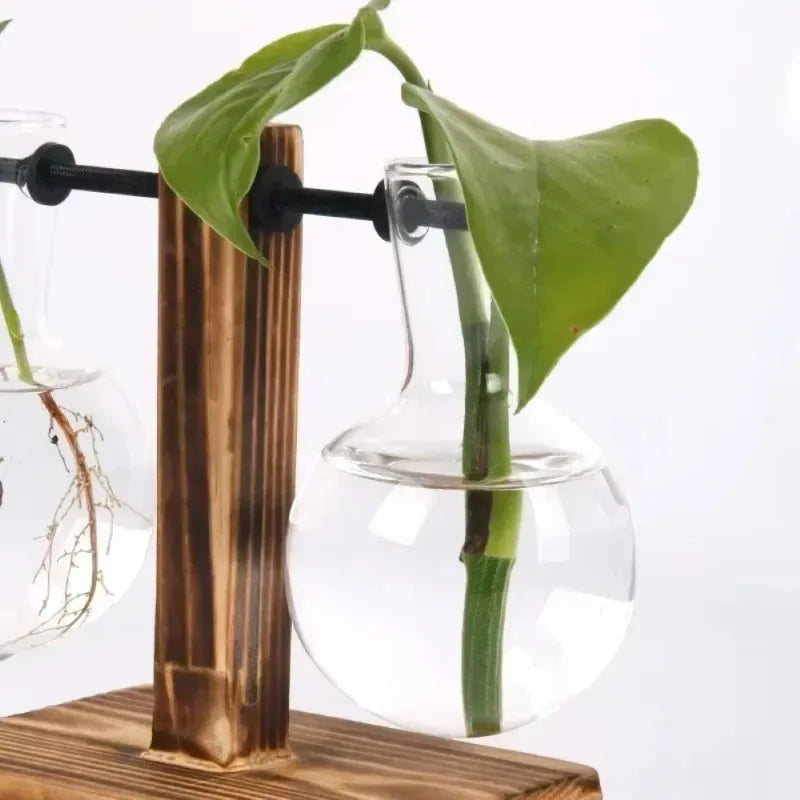 AquaWood™ Glass Bulb Propagation Station