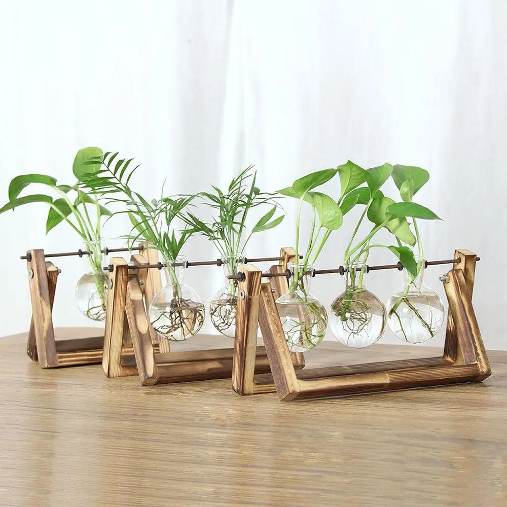 erraFrame™ Hydroponic Glass Terrarium & Wooden Stand