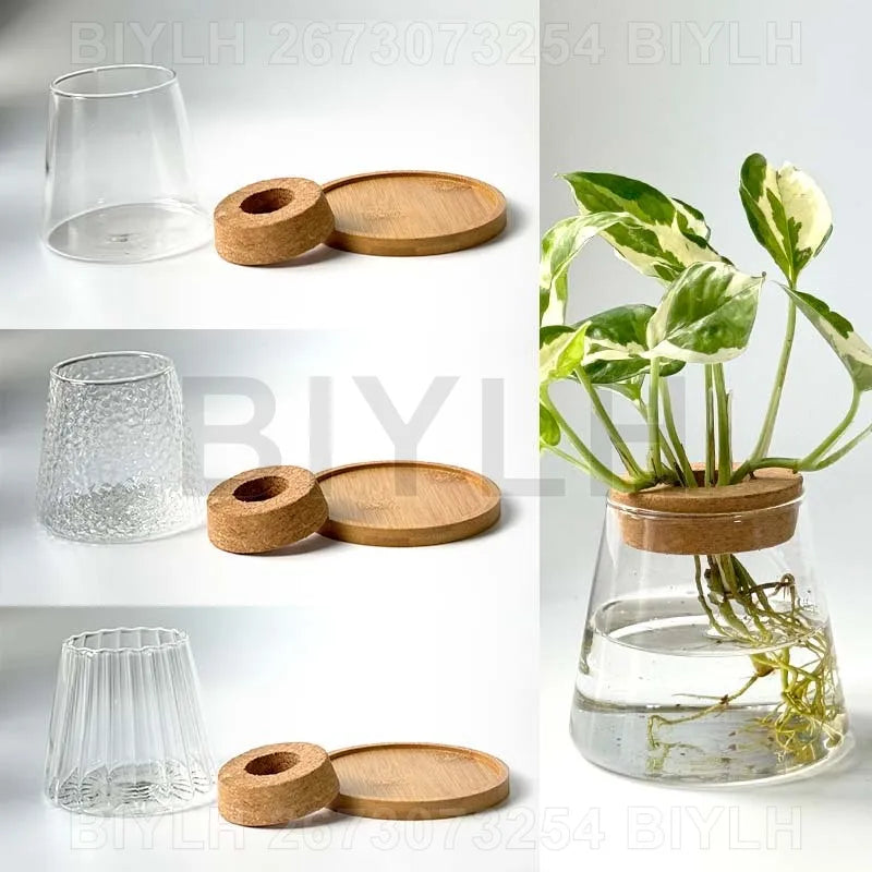 ClearRoot™ Hydroponic Glass Planter with Tray