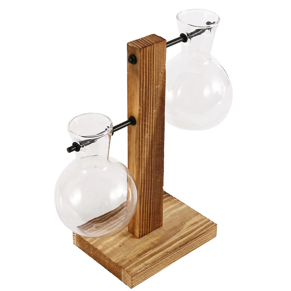 AquaWood™ Glass Bulb Propagation Station