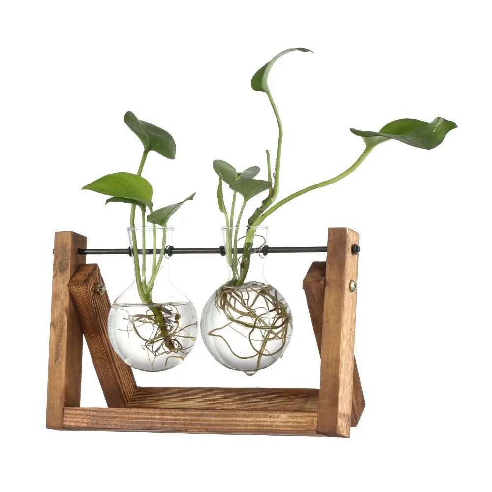 erraFrame™ Hydroponic Glass Terrarium & Wooden Stand