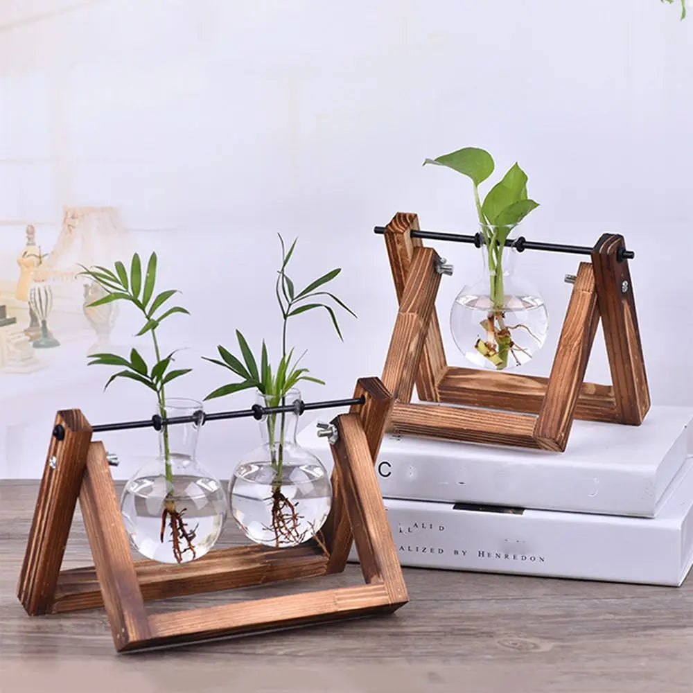 erraFrame™ Hydroponic Glass Terrarium & Wooden Stand