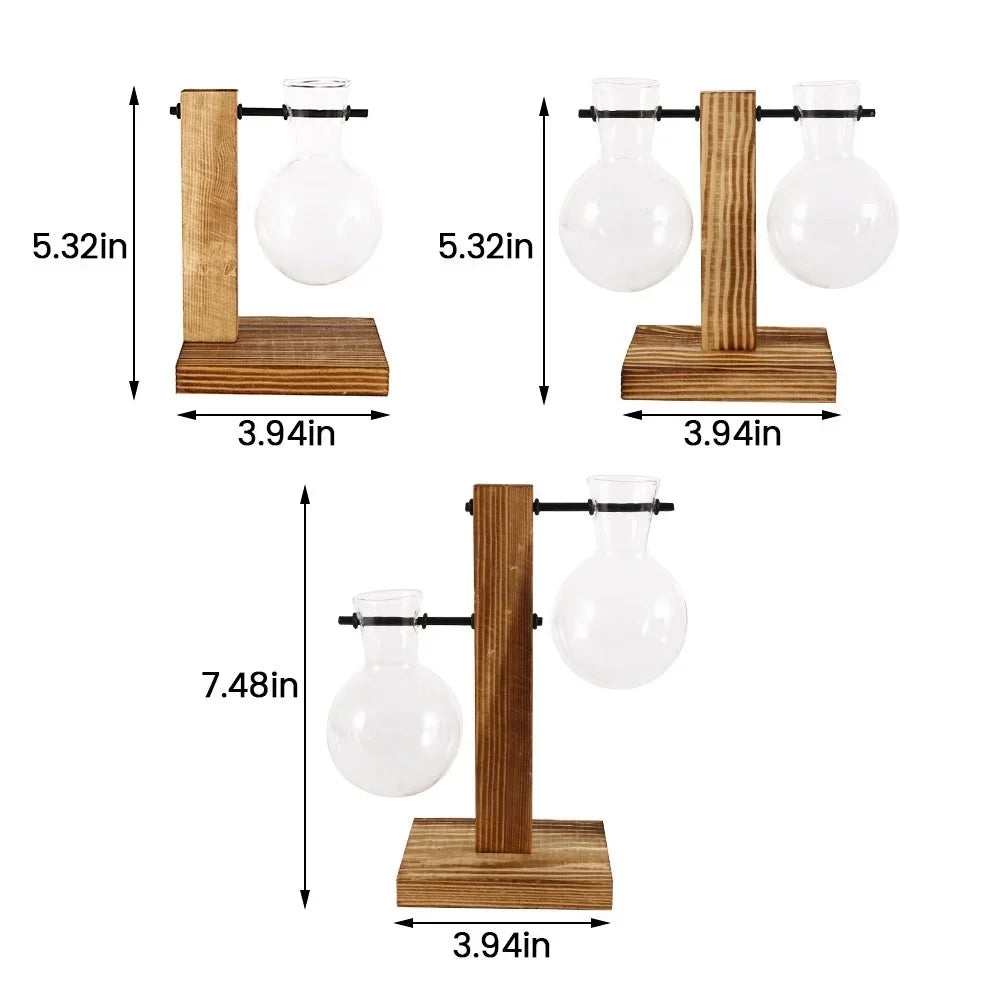 AquaWood™ Glass Bulb Propagation Station