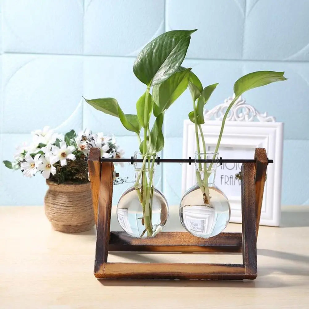 erraFrame™ Hydroponic Glass Terrarium & Wooden Stand