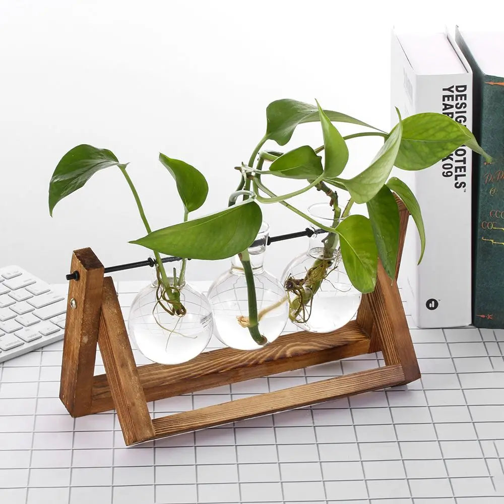 erraFrame™ Hydroponic Glass Terrarium & Wooden Stand