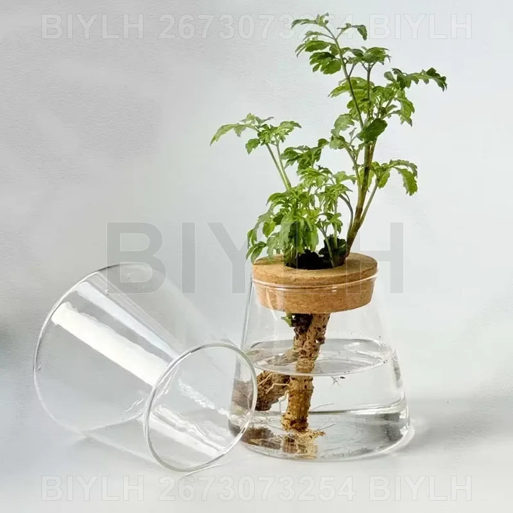ClearRoot™ Hydroponic Glass Planter with Tray