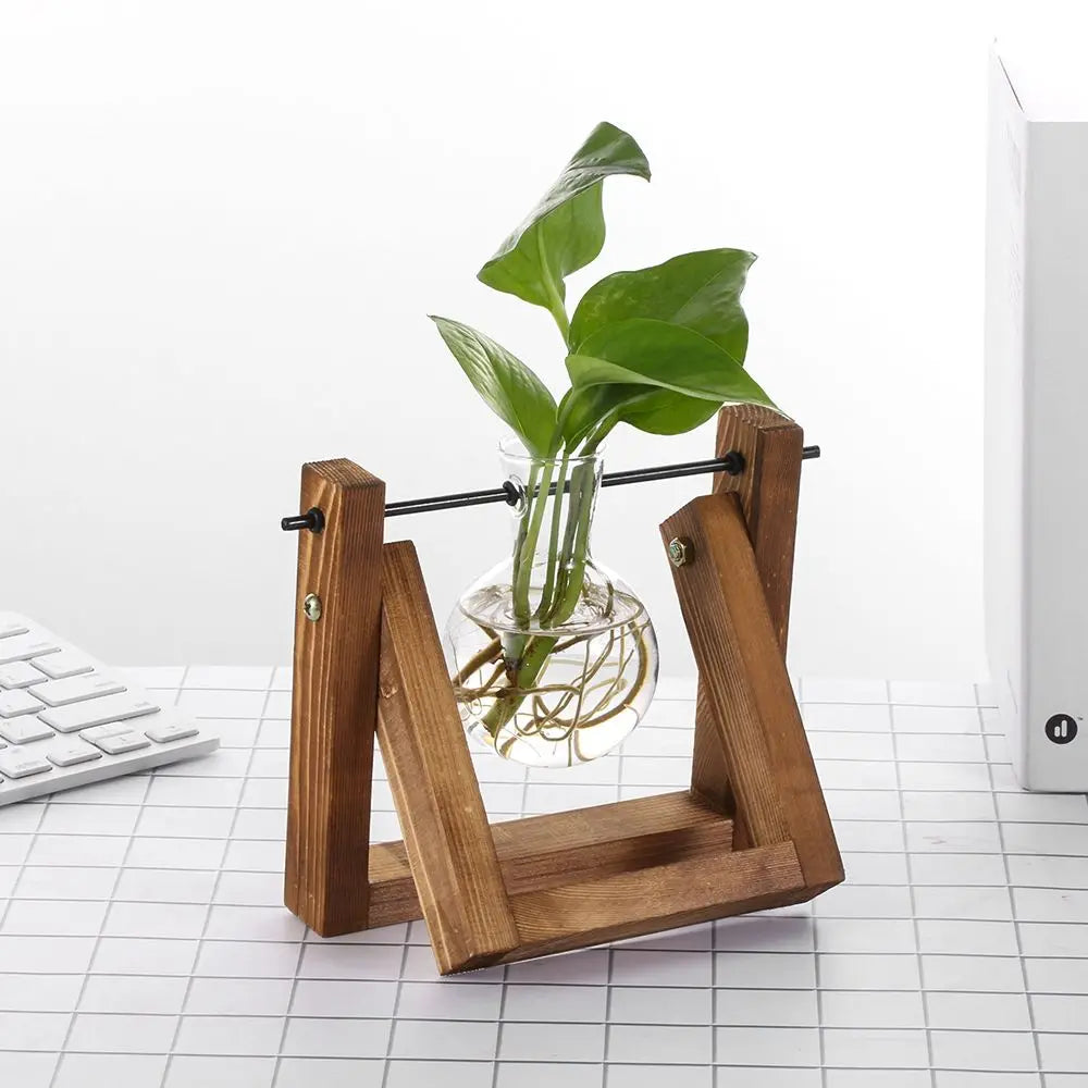 erraFrame™ Hydroponic Glass Terrarium & Wooden Stand