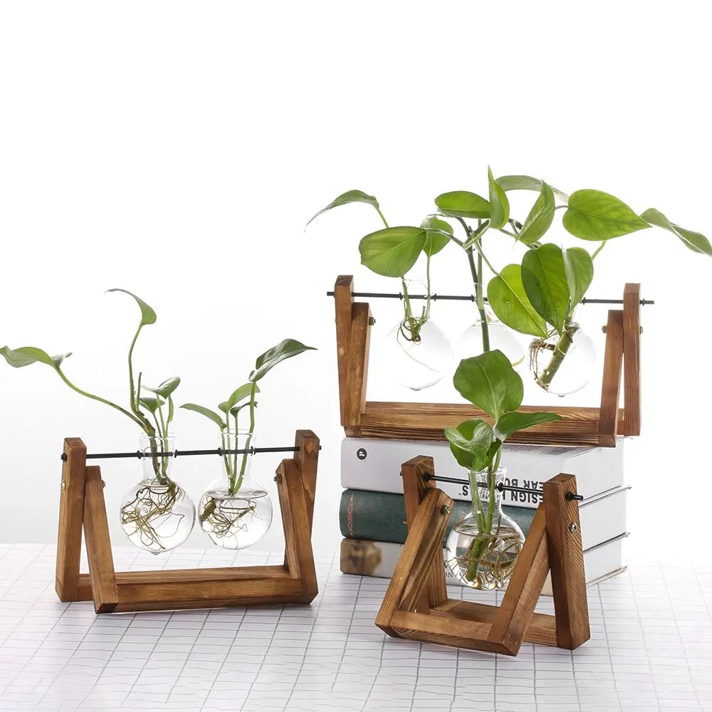 erraFrame™ Hydroponic Glass Terrarium & Wooden Stand