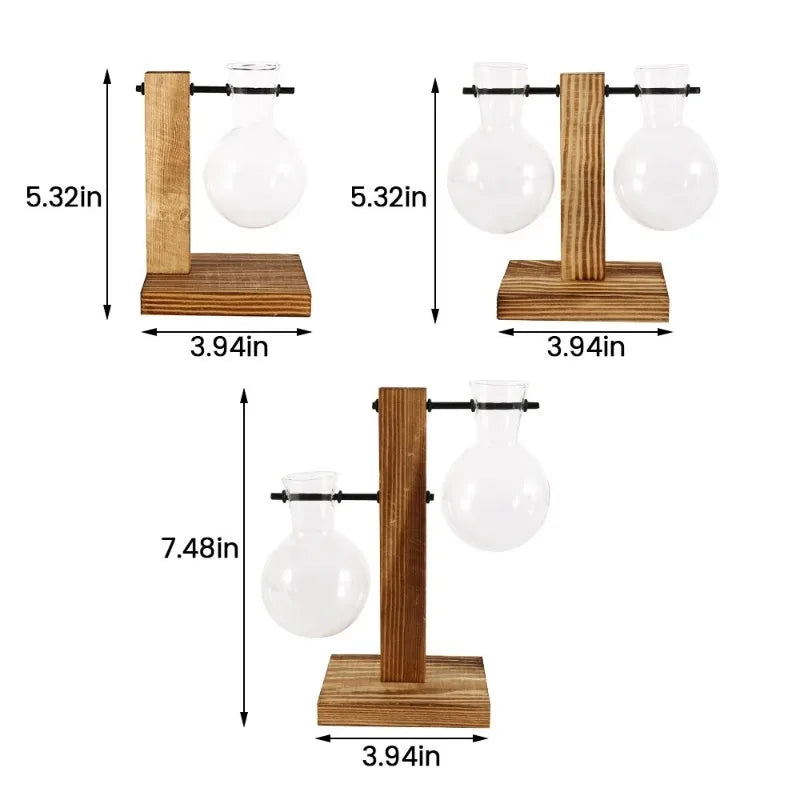 AquaWood™ Glass Bulb Propagation Station