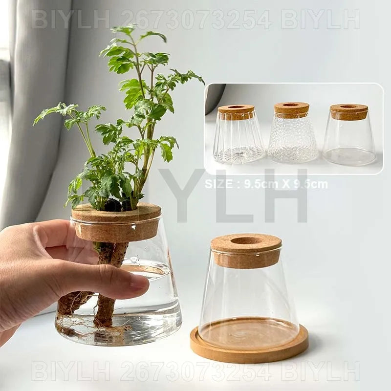 ClearRoot™ Hydroponic Glass Planter with Tray