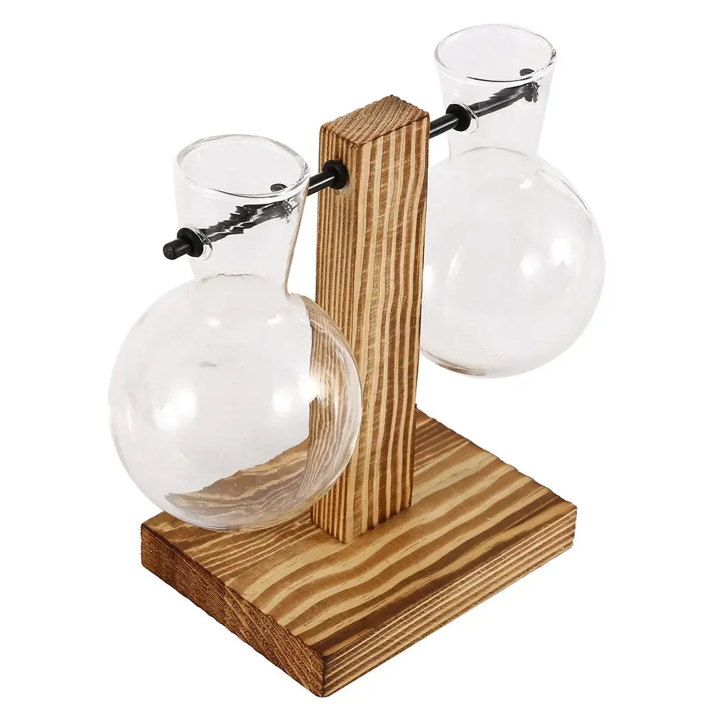 AquaWood™ Glass Bulb Propagation Station