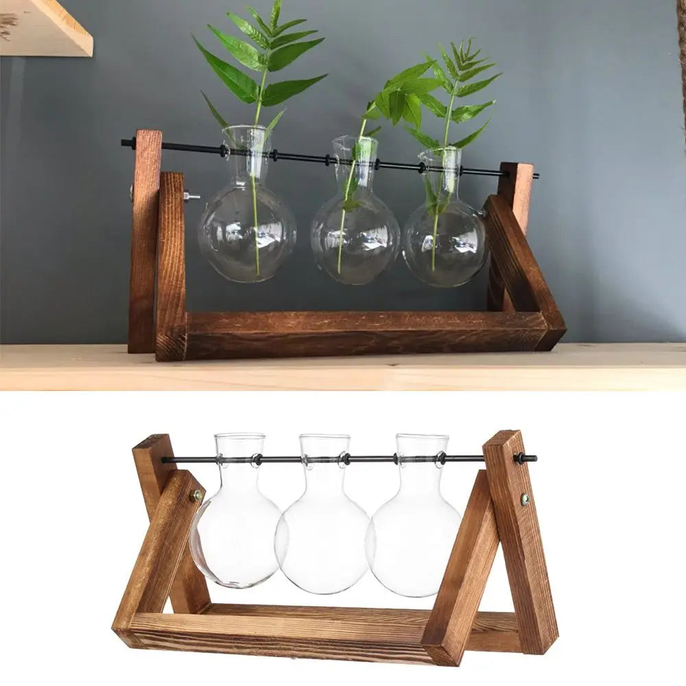 erraFrame™ Hydroponic Glass Terrarium & Wooden Stand
