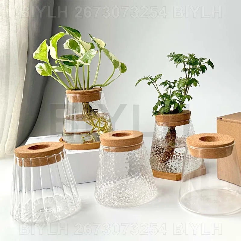 ClearRoot™ Hydroponic Glass Planter with Tray
