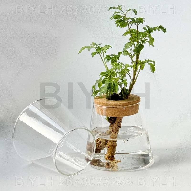 ClearRoot™ Hydroponic Glass Planter with Tray
