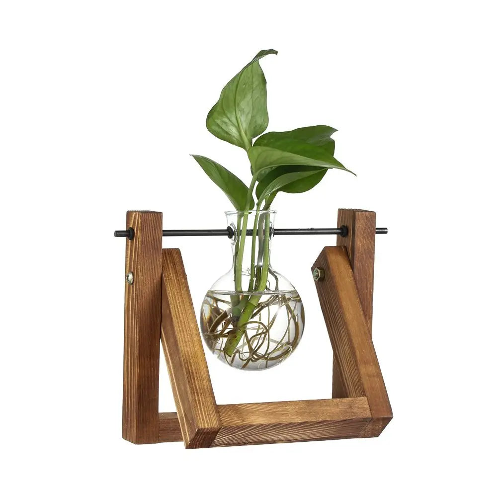 erraFrame™ Hydroponic Glass Terrarium & Wooden Stand