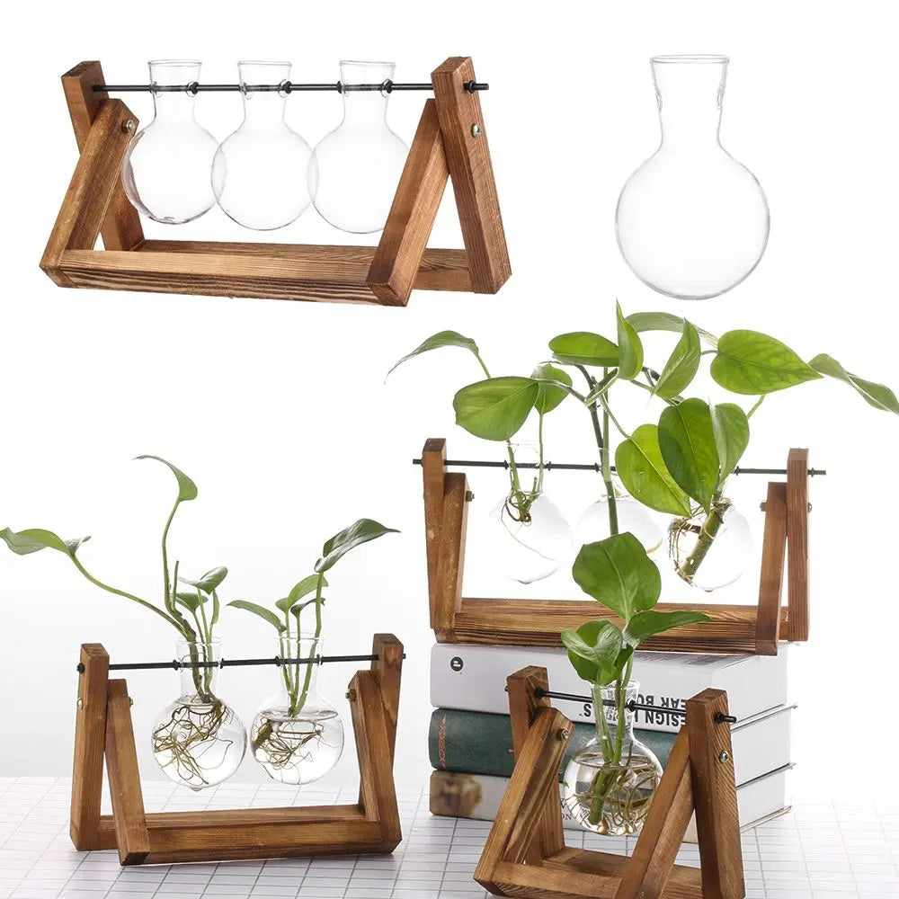 erraFrame™ Hydroponic Glass Terrarium & Wooden Stand