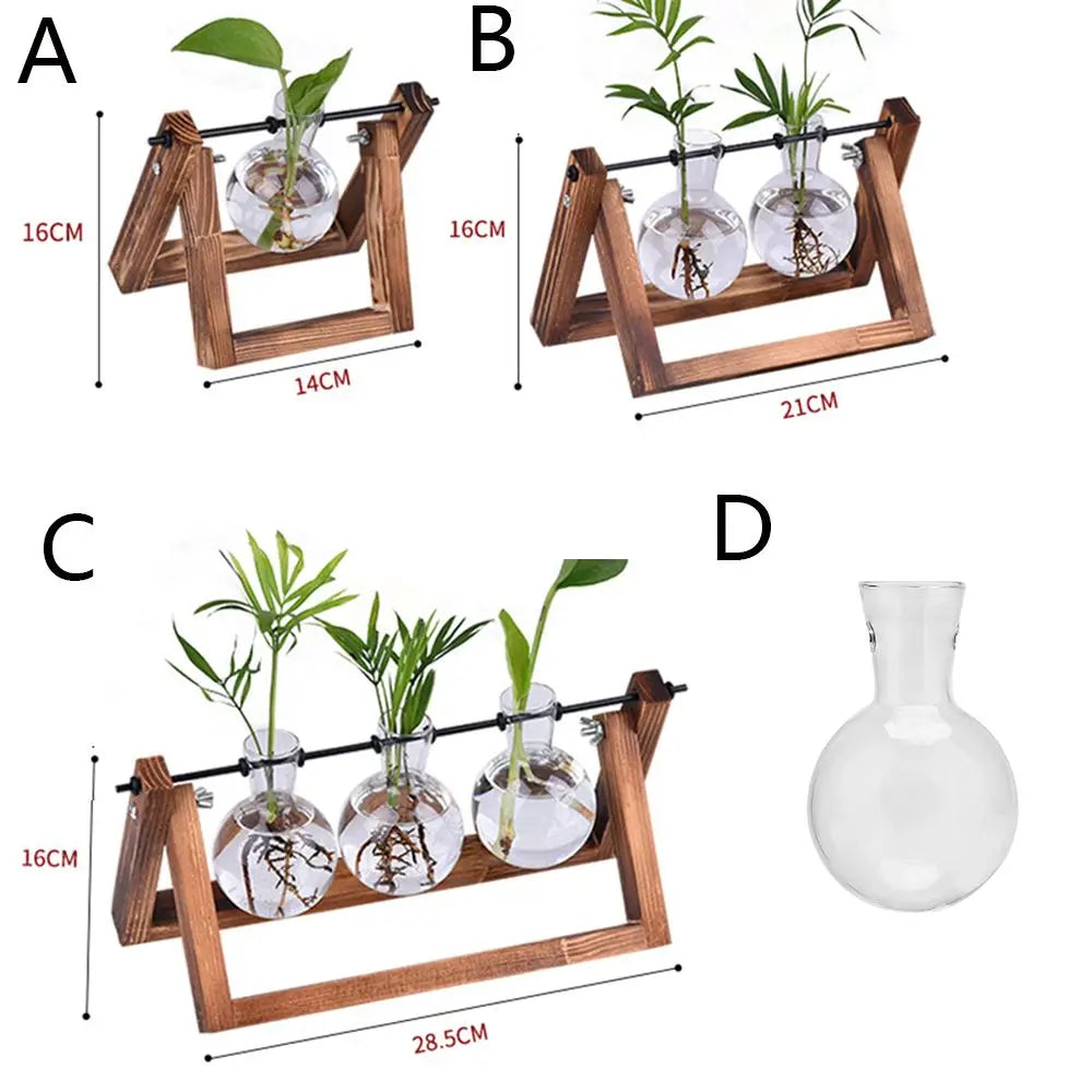 erraFrame™ Hydroponic Glass Terrarium & Wooden Stand