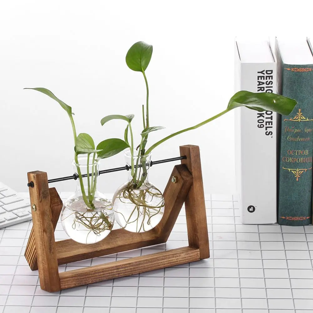 erraFrame™ Hydroponic Glass Terrarium & Wooden Stand