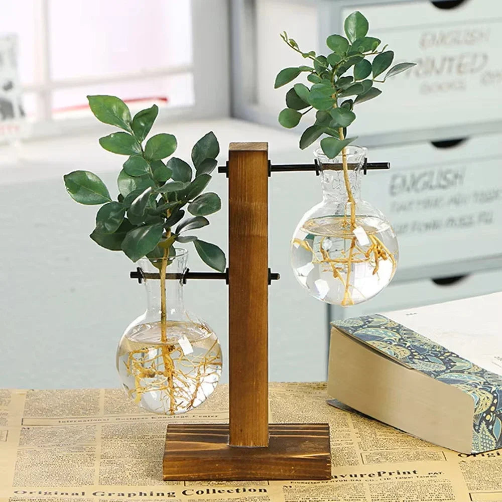 AquaWood™ Glass Bulb Propagation Station