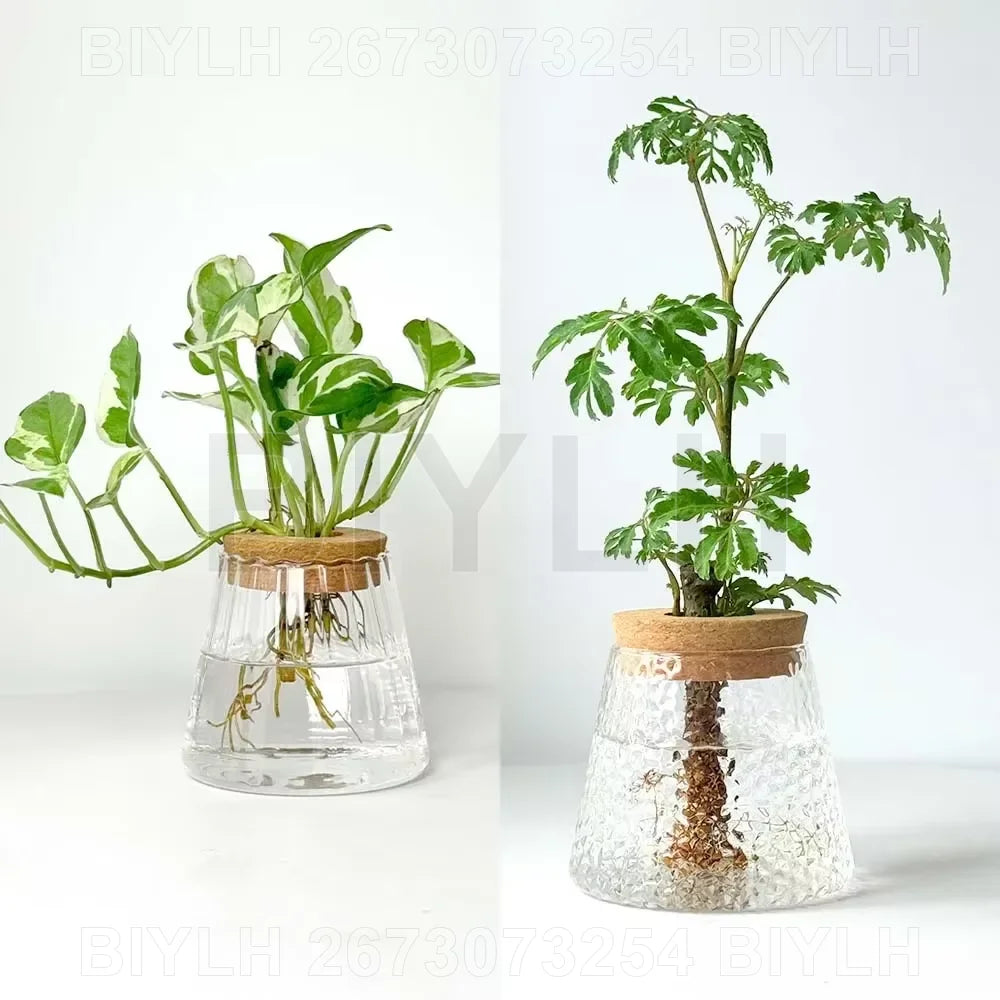 ClearRoot™ Hydroponic Glass Planter with Tray