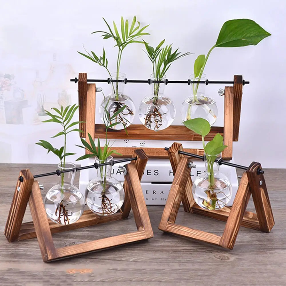 erraFrame™ Hydroponic Glass Terrarium & Wooden Stand