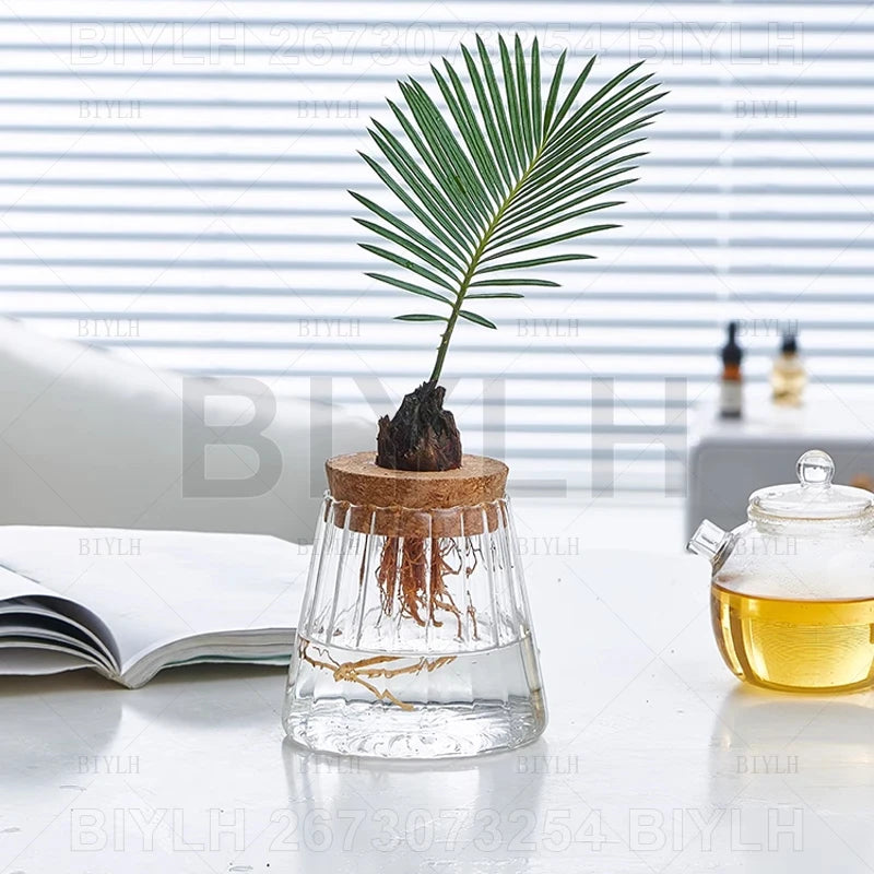 ClearRoot™ Hydroponic Glass Planter with Tray